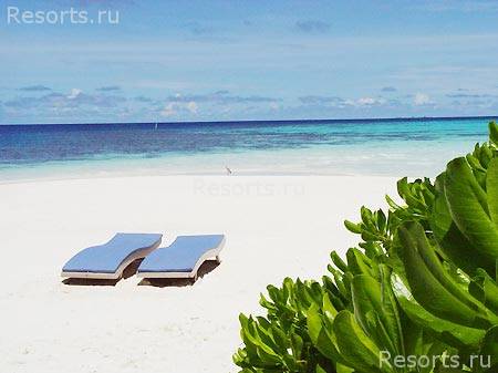 Mirihi Island Resort 14